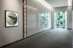 Speranza_23