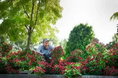 RSFA_Jardinier_Dominic