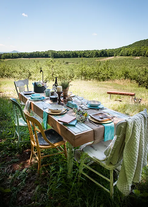Table_champetre-2