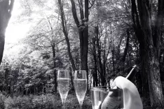 Mapplewood_champagne