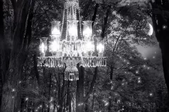 Mapplewood_chandelier