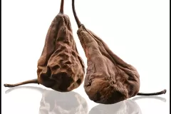 Fruits_pourris_Poirat
